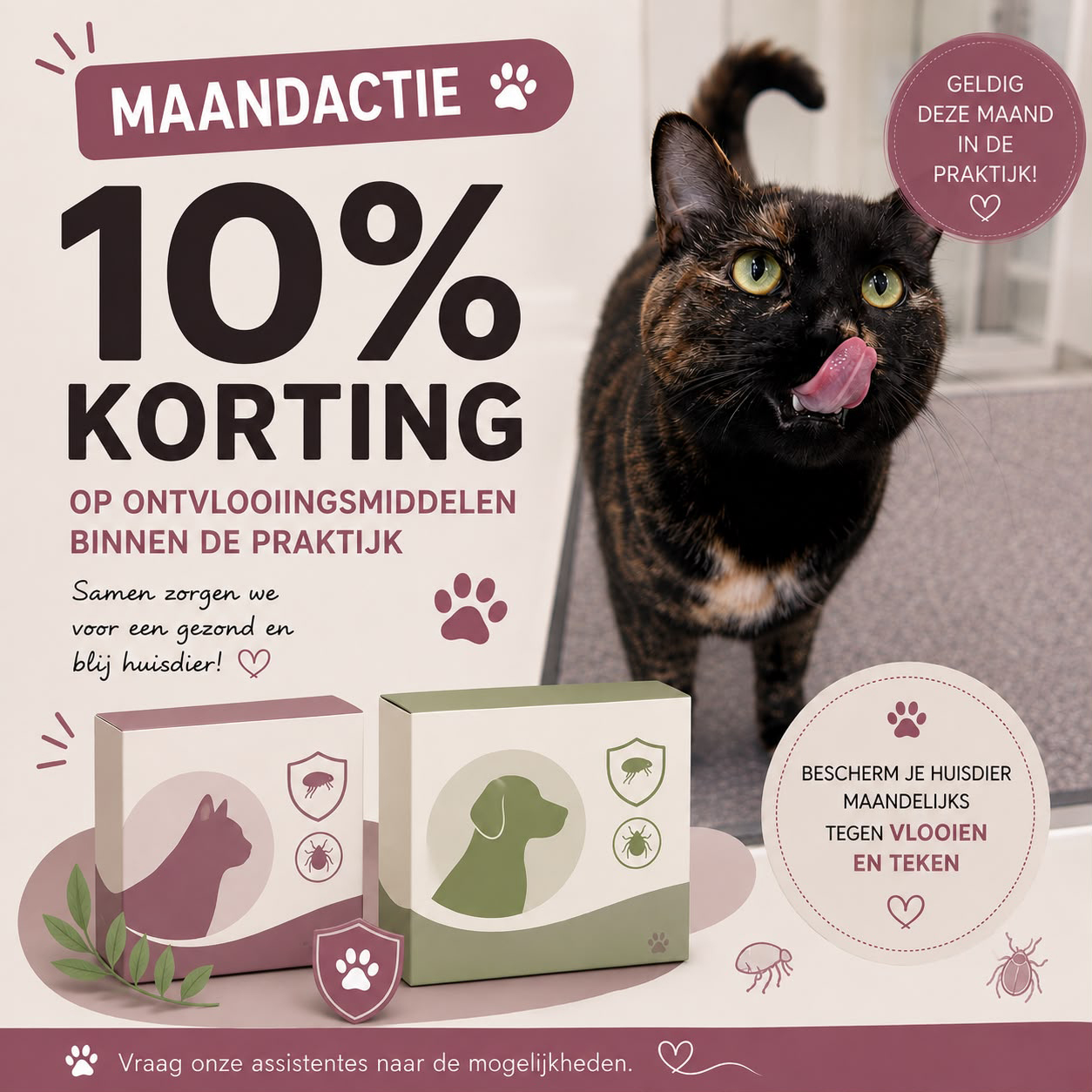 Actie van de maand (augustus:september 2026)